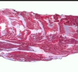 Buy-Quality-Grade-A-Frozen-Buffalo-Cube-Roll-300x279-1