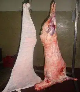 Buy-Quality-Grade-A-Frozen-Lamb-Whole-Carcass-263x300-1