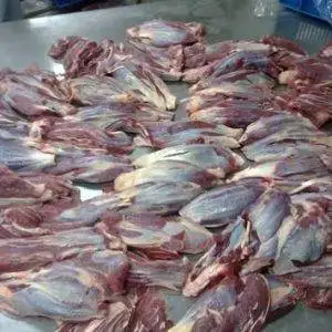 Buy-Quality-Grade-A-Frozen-Meat-Shin-Shank-300x300-1