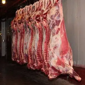 Buy-Quality-Grade-A-Frozen-Whole-Buffalo-Carcass-300x300-1