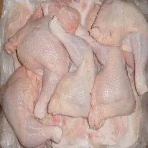 Buy-Quality-Grade-A-Halal-Frozen-Chicken-Leg-Quarters-300x300-1